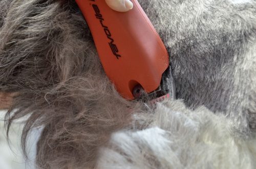 Aesculap CL GT206 Akkumulátoros nyírógép