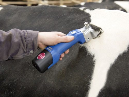 Econom CL akkumulátoros nyírógép szett (1 akksis)