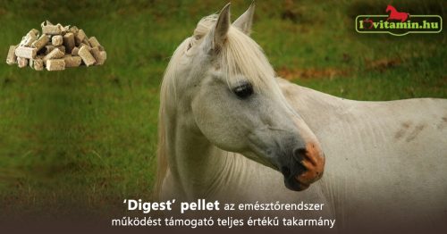 Digest pellet emésztőrendszer működést támogató takarmány lovaknak - 20 kg