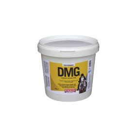   DMG – Dimetilglicin por állatgyógyászati gyógyhatású termék 250 gramm lovaknak, kutyáknak, macskáknak