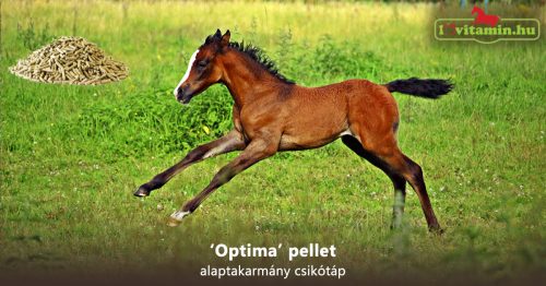 Optima pellet alaptakarmány csikótáp - 20 kg