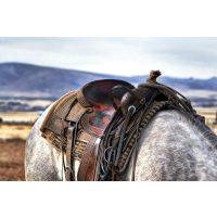 Nyergek és tartozékaik