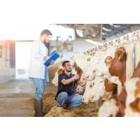 Állattelepi higiénia