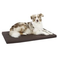 Kutyafekhely, kutyapárna, kutyaágy